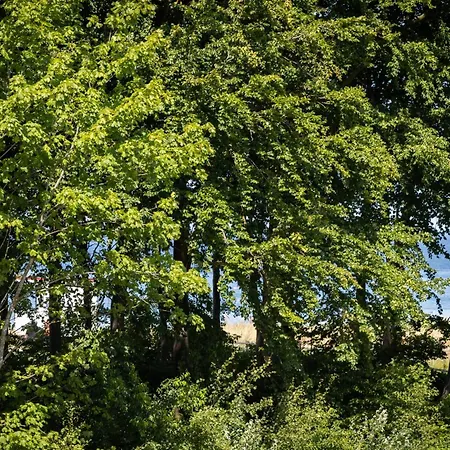 Strandvilla -ap 14 * Цингст