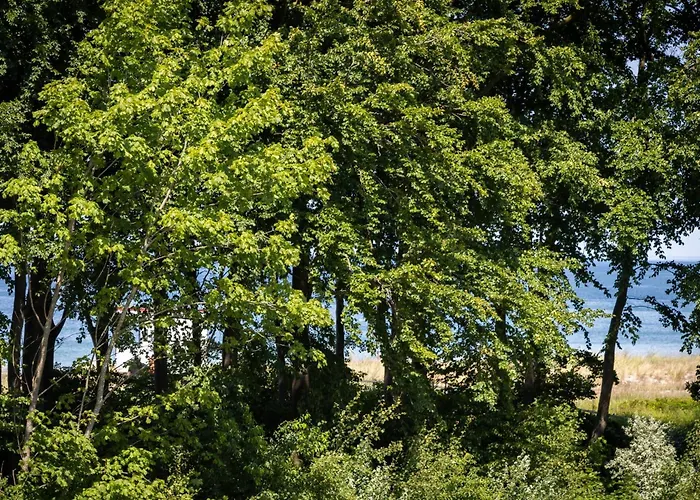 Strandvilla -ap 14 * Zingst